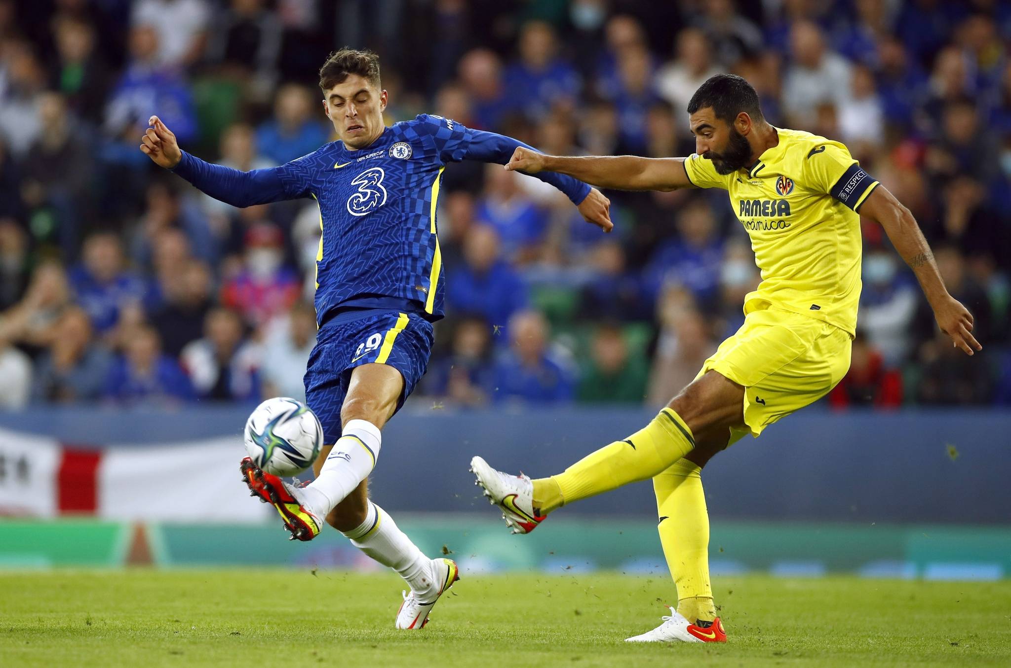 还有布鲁斯 还有布鲁斯